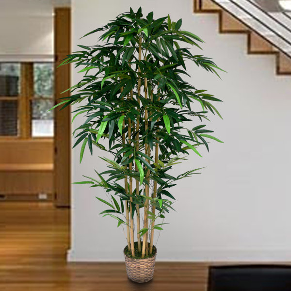 Bloomsbury Market Tall High End Realistic Silk Bamboo Tree in Basket