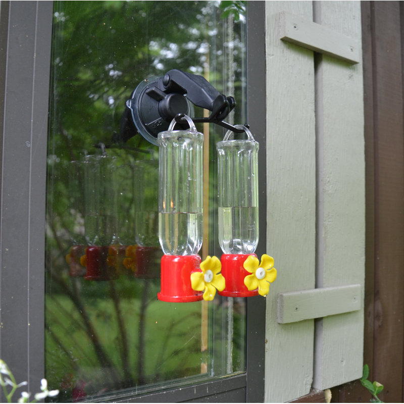 Rcs Gifts Double Window Hook Hummingbird Feeder Reviews Wayfair