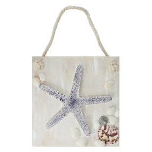 Shells And Starfish Wall Decor Wayfair Cape Cod Inspired Starfish Hanging Wall Décor