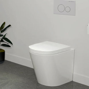 Back Toilet Basket Wayfair Sublime Dual Flush Elongated Back To Wall Toilet