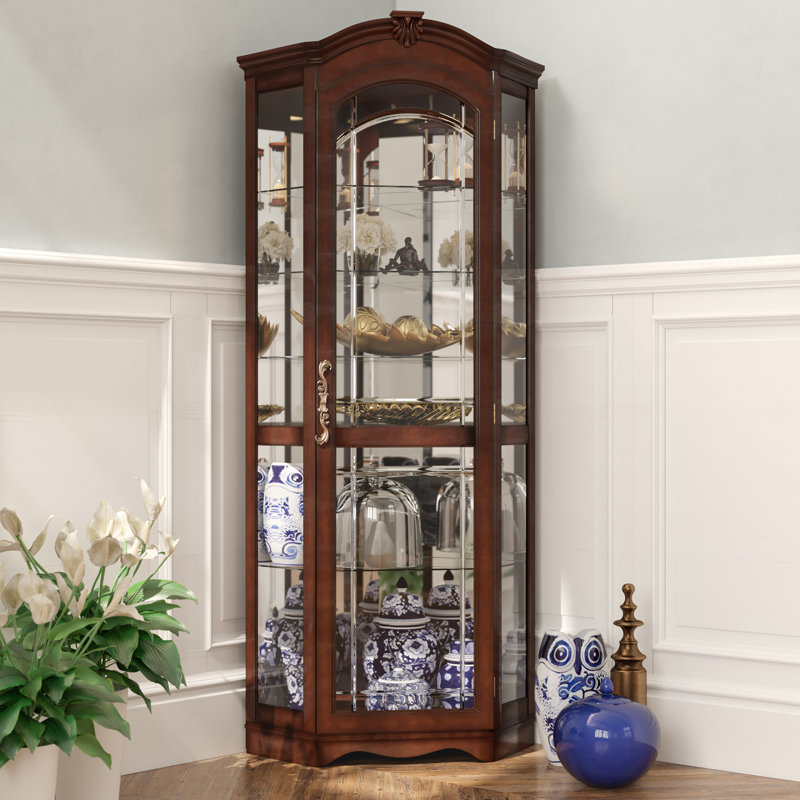 Darby Home Co Purvoche Lighted Corner Curio Cabinet ...