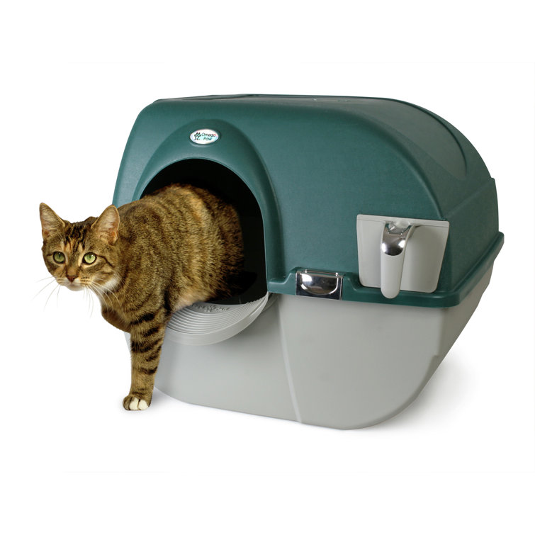 easy clean litter box