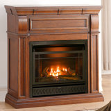 Find The Perfect Procom Gas Fireplace Inserts Logs Wayfair