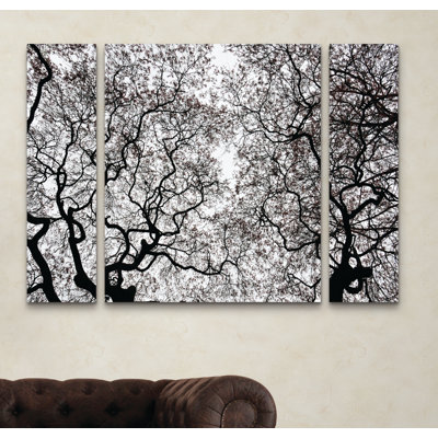 Japanese Maple Spring Abstract by Kurt Shaffer - 3 Piece Multi-Piece Image Print Set on Canvas
