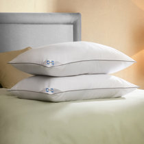 how to wash feather pillows in front loading washer