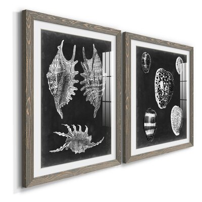 Alabaster Shells VPremium Framed Print - Ready To Hang Dovecove Format: Gray Framed Paper, Size: 24