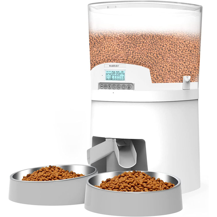 dual automatic cat feeder
