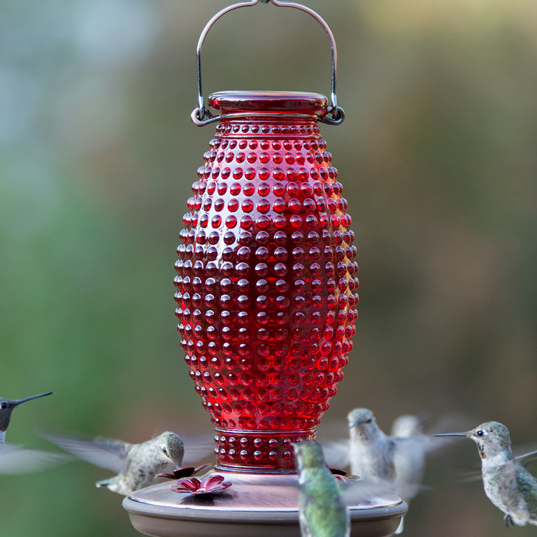 Perky Pet Hobnail Vintage Hummingbird Feeder Reviews Wayfair Ca
