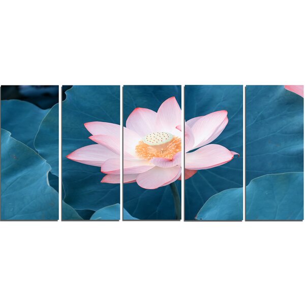 Lotus Flower Wall Art Wayfair