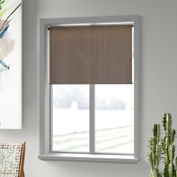 Roller Shades 8 Ft Window Blind Roll-Up Exterior Cordless Patio Outdoor Porch 