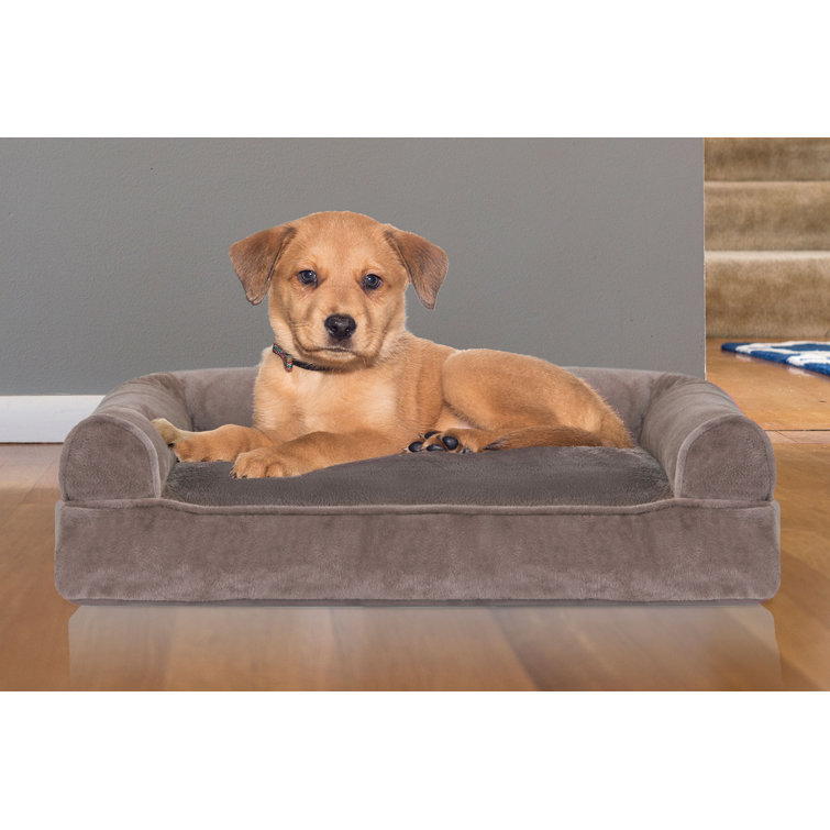 zooplus memory foam dog bed