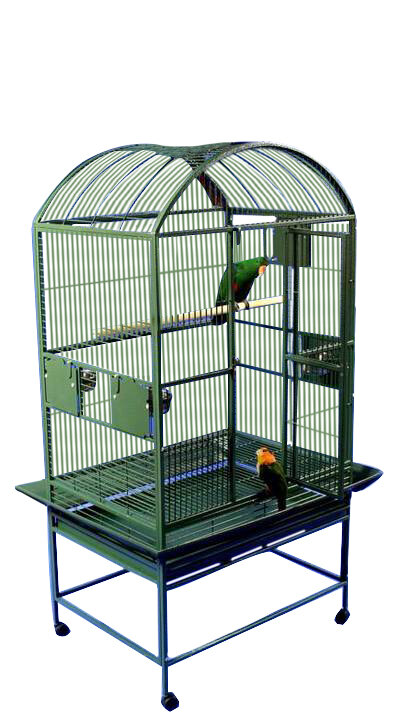 green bird cage