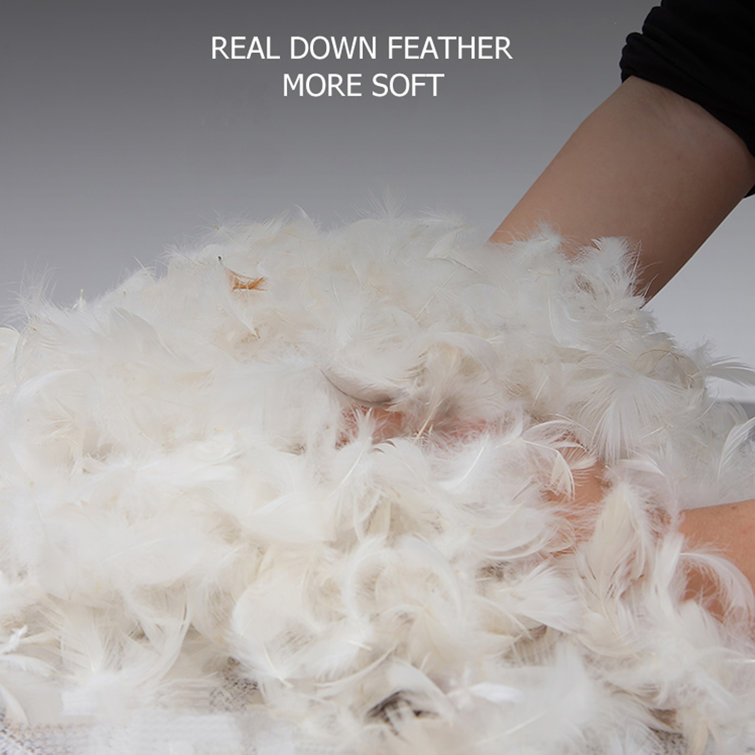 real down feather