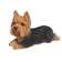 Hi-Line Gift Ltd. Yorkshire Terrier Dog Lying Down Statue & Reviews ...