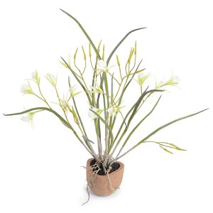 Faux Exotic Brassavola Orchid