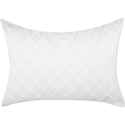 Ultimate Protection and Comfort Down Alternative Polyfill Pillow AllerEase