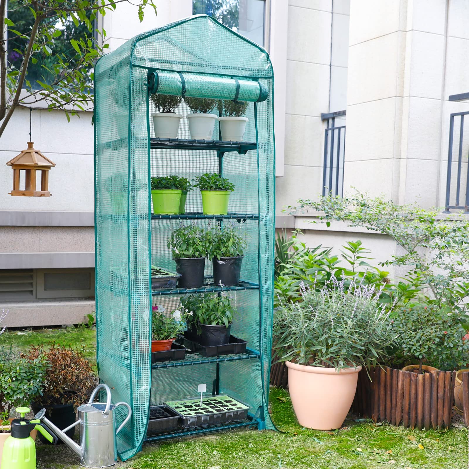 Meucoo 2' W x 1' D Mini Greenhouse | Wayfair