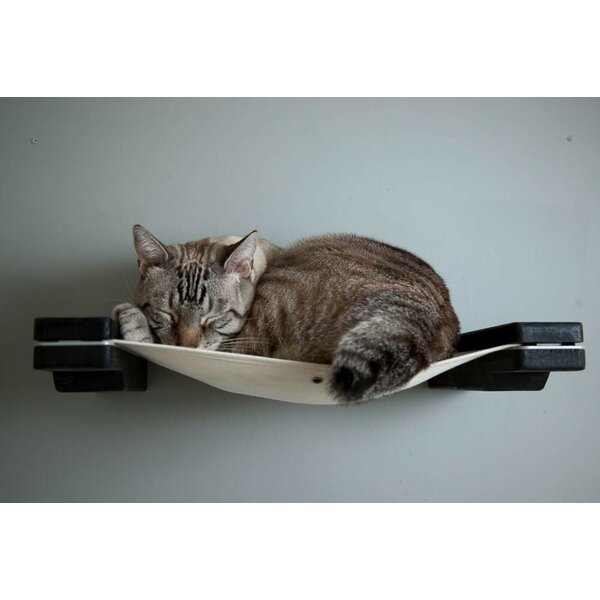 Wall Mounted Cat Hammock Wayfair