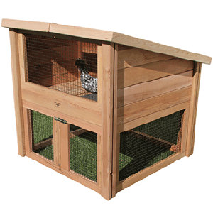 Darius Chicken Coop Pet Cottage