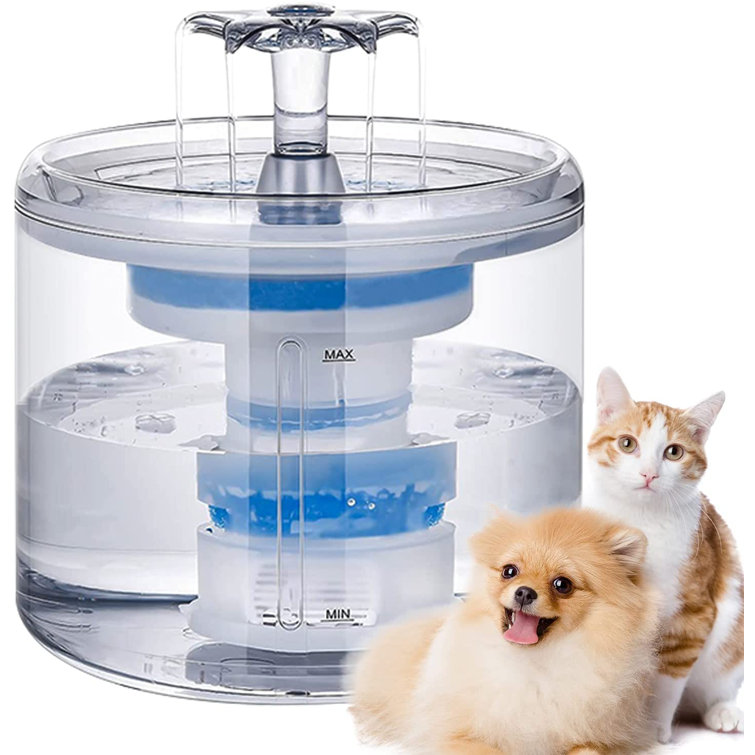 dog water fountain indoor