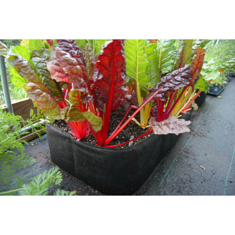 Rebrilliant Victory 8 Garden Rectangle Raised Garden Beds