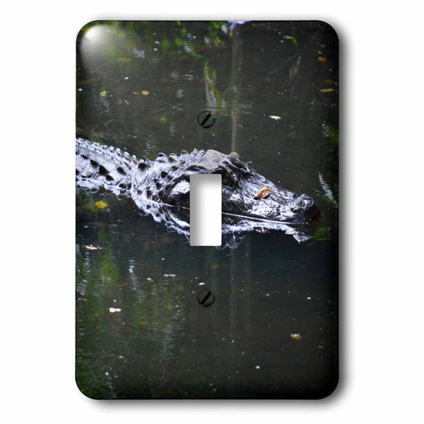 3drose Florida Alligator Head 1 Gang Toggle Light Switch Wall Plate Wayfair