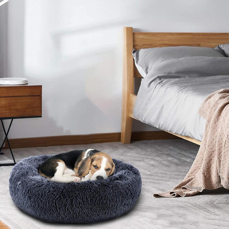 small dog bed size