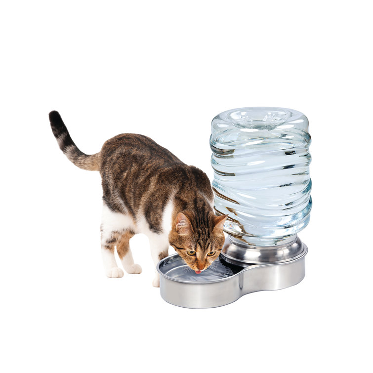 automatic water dish for cats