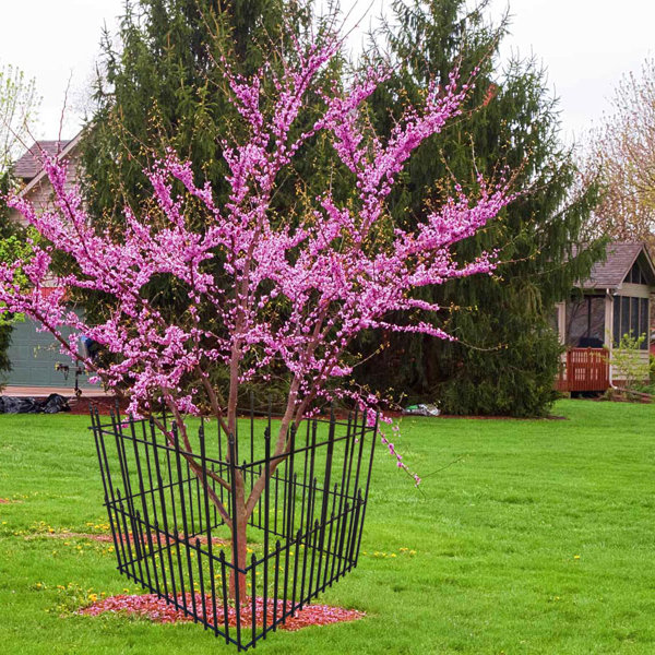 Decorative Garden Fence Panels