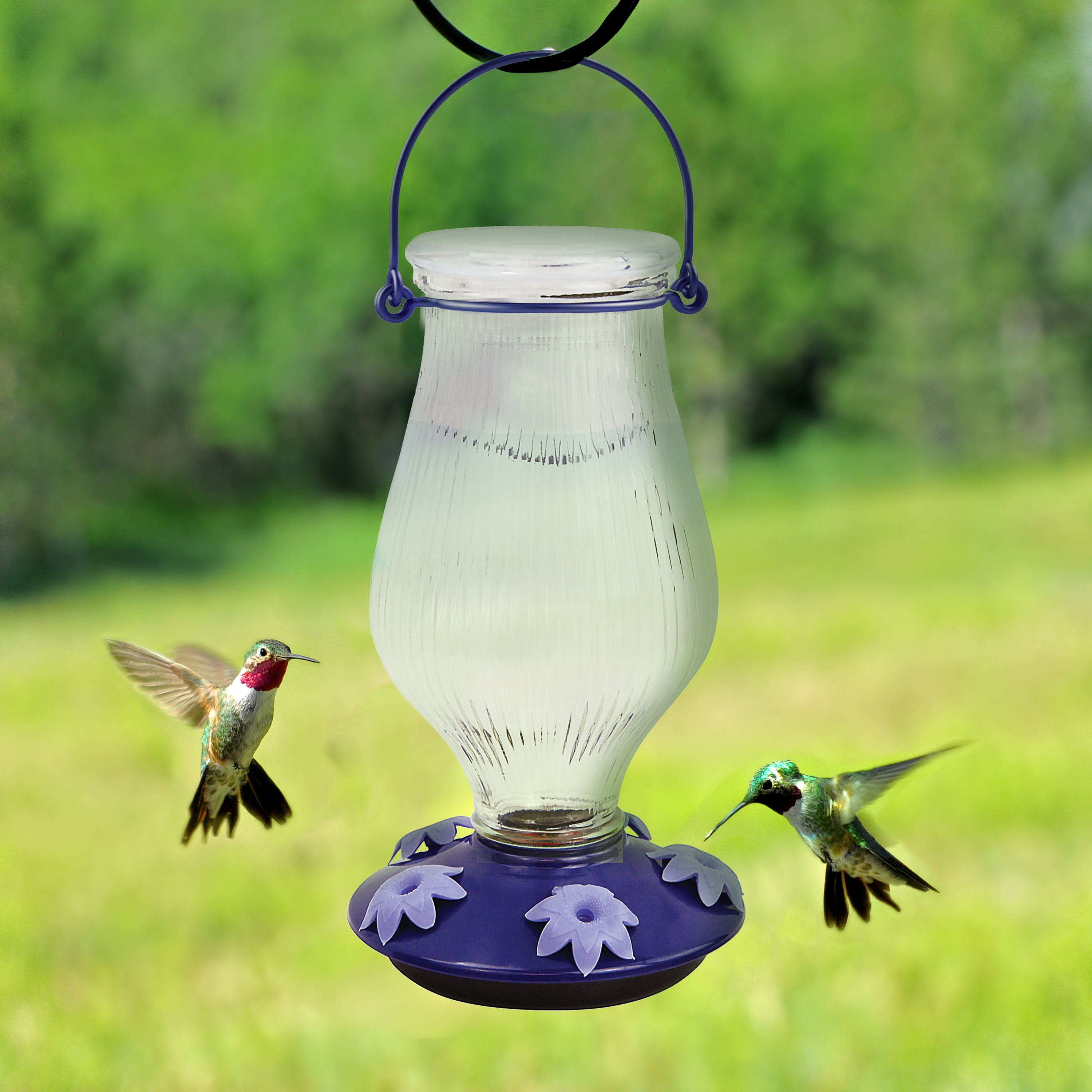 Perky Pet Grand Oasis Top Fill Glass Hummingbird Feeder Wayfair