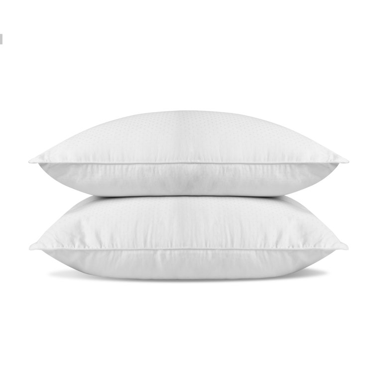 chaps beyond down pillow