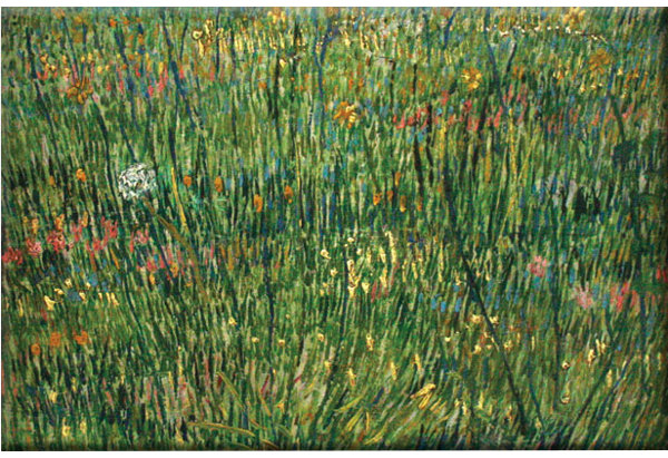 Buyenlarge Patch Of Grass By Van Gogh Painting Print On Wrapped