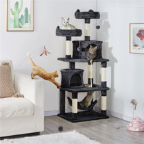 black cat tree care