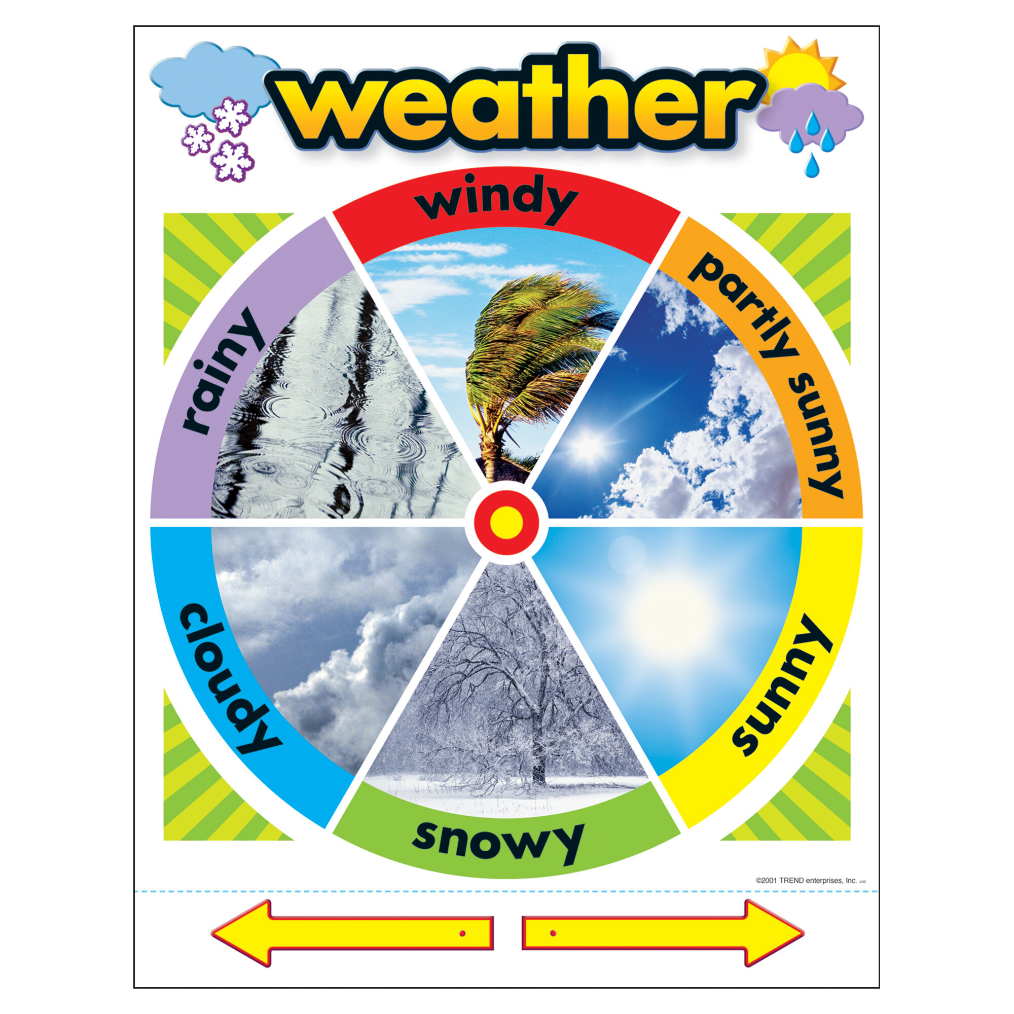 Trend Enterprises Weather Learning Chart Wayfair