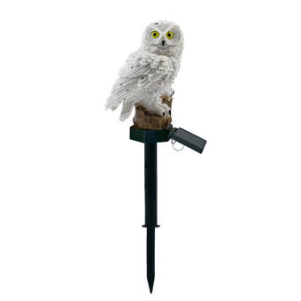 Torchstar Black Solar Powered Led Pathway Light Reviews Wayfair
