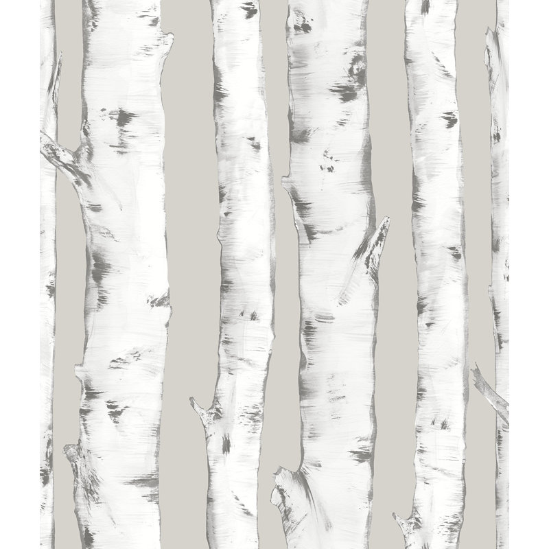 Foundry Select Adairsville Downy Birch 198 L X 20 5 W Peel And