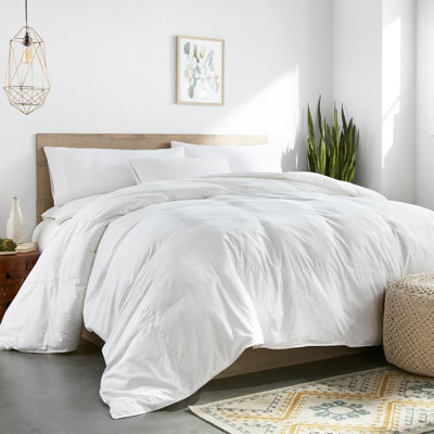 Colossal King Oversized 120" x 120" King Down Alternative Comforter - White Color