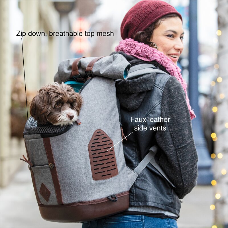 puppy carrier rucksack