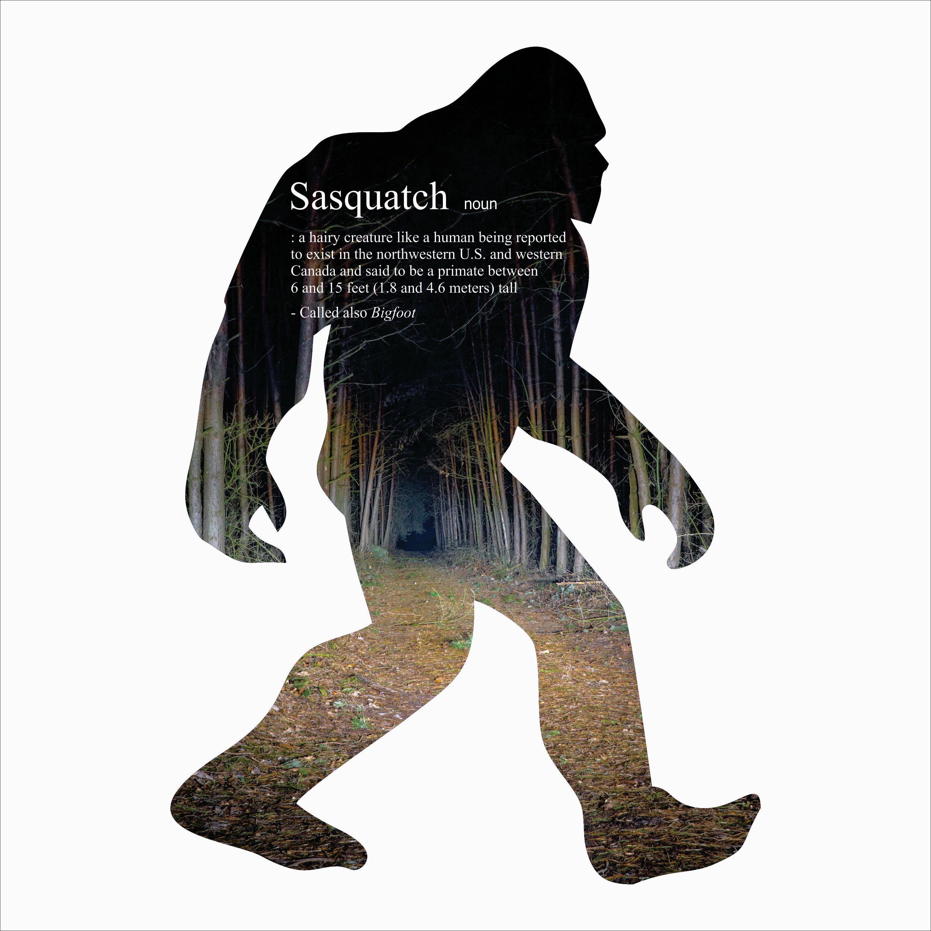 Millwood Pines Sasquatch Silhouette Metal Laser Cut Wall Décor Wayfair