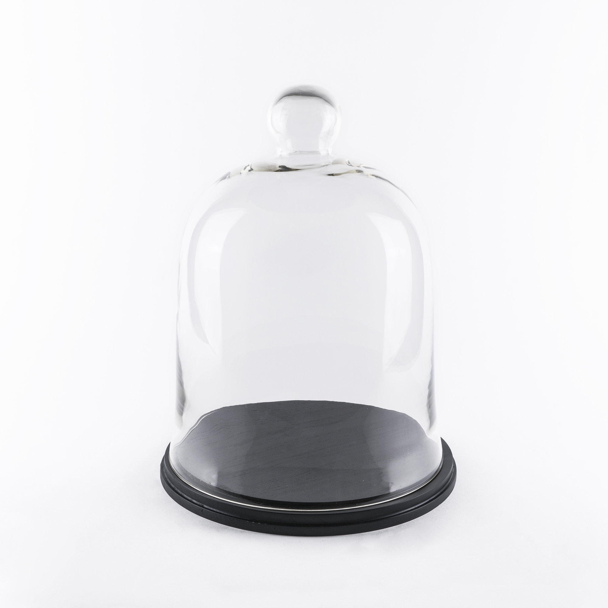 Charlton Home Rubi Dome Bell Jar Glass Terrarium Wayfair