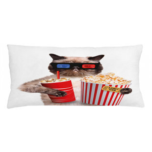 Movie Theater Pillows Wayfair