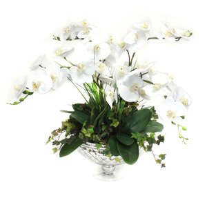 Orchids in Pedestal Glass Bowl