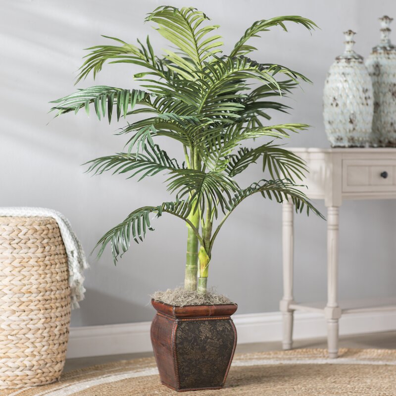 Beachcrest Home Palm in Decorative Vase & Reviews | Wayfair