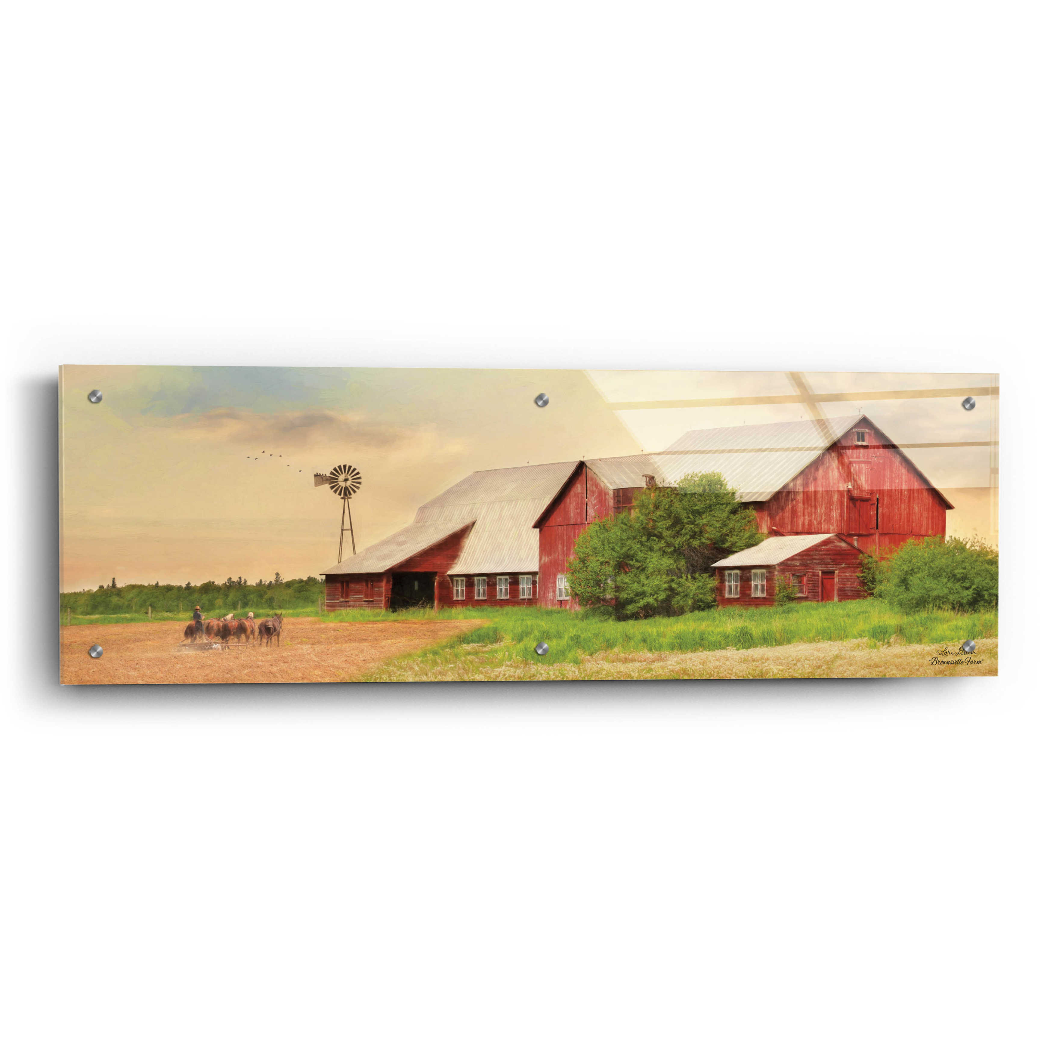 Craigslist Brownsville: Farm & Garden Goldmines Await! - 7tk2n45