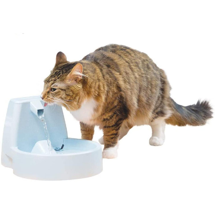 automatic cat drinking fountain