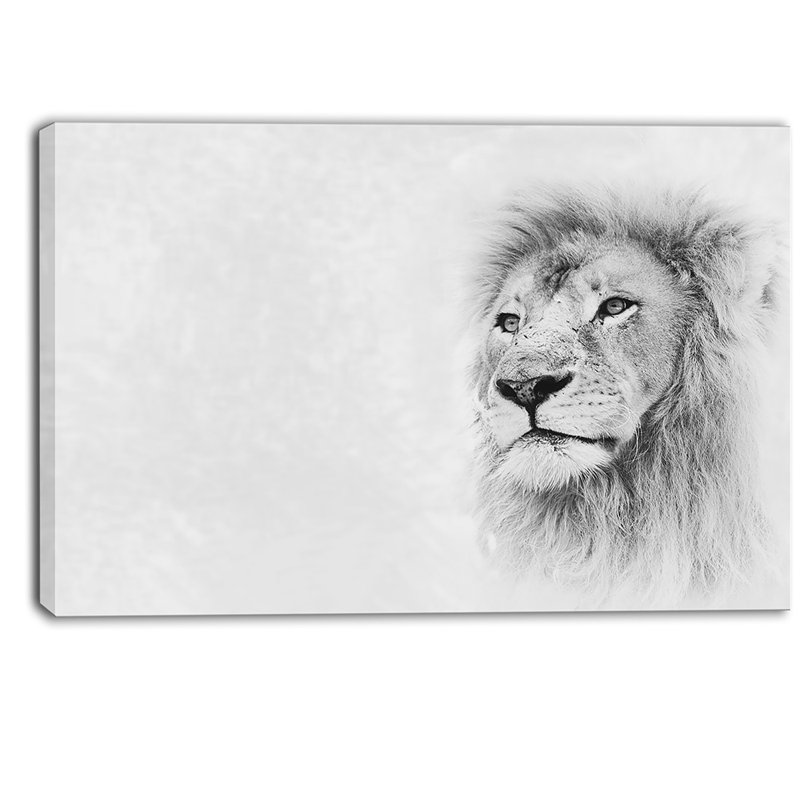 Designart Lion Face On Card Banner Wall Art On Wrapped Canvas