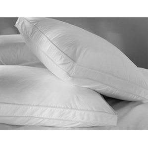 Easy Loft Comfort Edge Standard Pillow by Alwyn Home