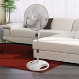 Decorative Pedestal Fans Wayfair