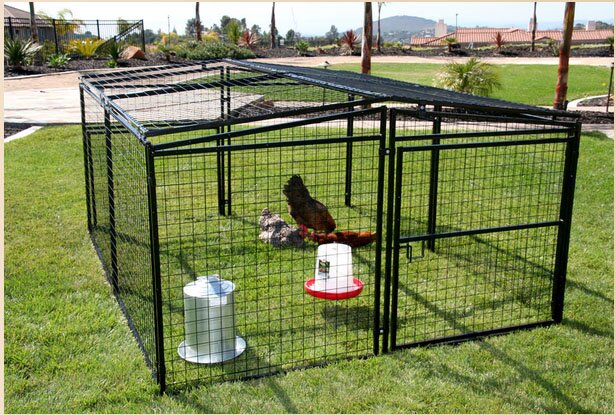 Francesca Welded Wire Dog Penchicken Coop