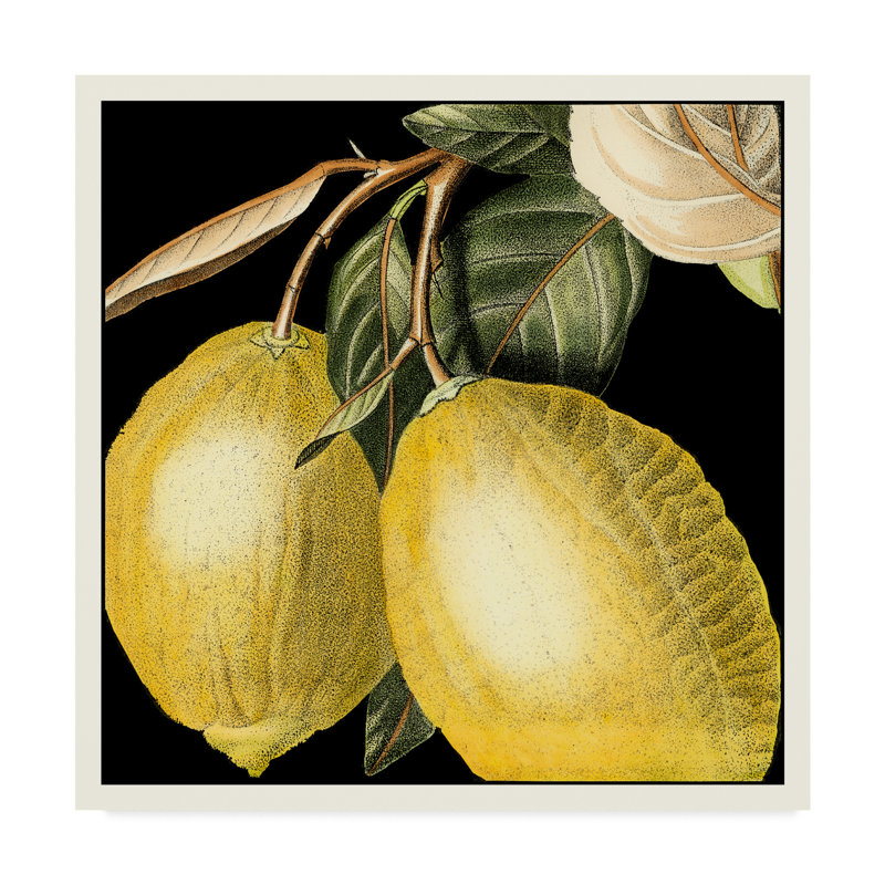 Charlton Home Dramatic Lemon Graphic Art Print On Wrapped Canvas